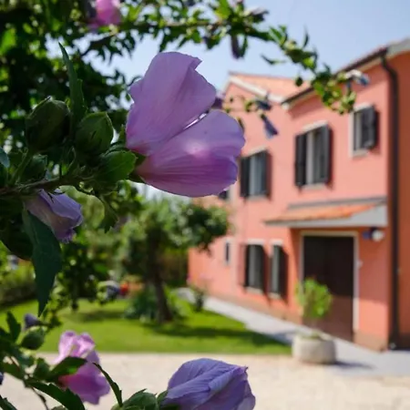 Villa Comfort Roza In - 5 Bedroom With Pool Umag